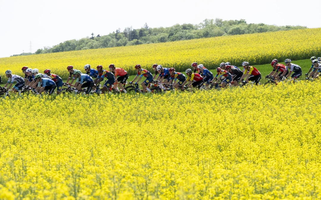 Le Tour de Romandie, un incontournable